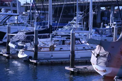 DSC_0880 (Large).JPG